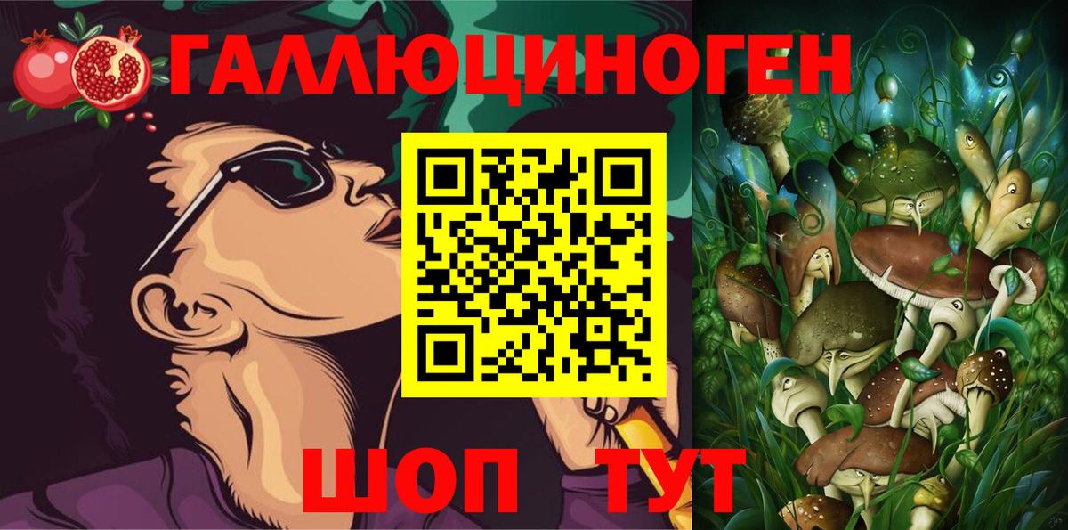 Псилоцибиновые грибы Cubensis Серов